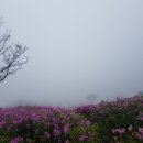 송가네아구찜 이미지