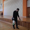 그린라인 이미지