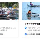 [삼척장호마을]투명카누생태체험 티스토리