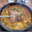 조박사설렁탕 이미지