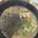 디노아 이미지