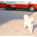 비금지킴이 이미지