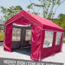 쉘터