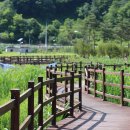 소금랜드 이미지