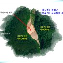 산약초 생활건강 이미지