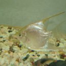 그랜드 마트 이미지