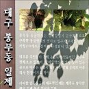 향산 이미지