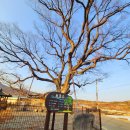 팔공산 둘레길 16구간 이미지