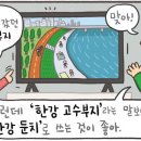 [264] '둔치'와 '고수부지' 이미지