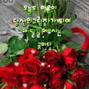 로뎀나무 이미지