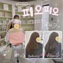 별혜윰hair salon | 성수 미용실 피오피오 [POPO Hair Salon] 퍼스널컬러 진단부터 가을뮤트 염색까지 한 번에 받은 후기