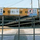 감애농장 중앙일보