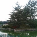 상진호식당 | 내일로 경주 4일차 경주 下 (2015 하계 내일로) 안압지, 첨성대