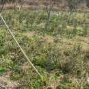 땅골농장 이미지