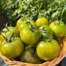 준이네농장 이미지