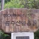 남대구홈플러스 앞 이미지