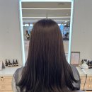 서현2동 소로2 | [안산 중앙역 미용실] 살롱드로웰미 안산중앙점 톤다운 염색 서현 디자이너