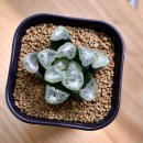 만상농장 이미지