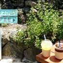 조르바롯지 민박 이미지