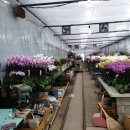 예삐농원 이미지