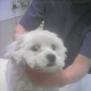 면목동-016 이미지