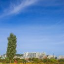 태화강국가정원 이미지