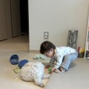 신지네전집 | [내돈내산] 층간 소음 매트 “조이매트” 시공후기