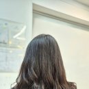 레베헤어 - 원주시 남원로469번길 39 | 레베헤어