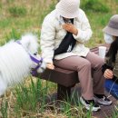 한국마사회 부경본부-부산 온종합병원 홀스테라피 개최 이미지