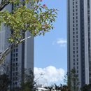 산새소리유치원 | 가을은 유치원 설명회 시즌인줄 난 진정 몰랐네..