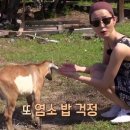 세컨페이스안경 이미지