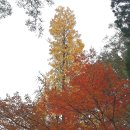 덕수궁길 이미지