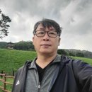 문무왕릉, 감은사지, 골굴사, 석굴암, 불국사 여행(쪼개기 중)