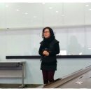 성남시청 탄천관 이미지