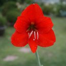 김형달농장 이미지