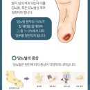 의료법인 새움의료재단 이미지