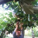 용만농장 이미지