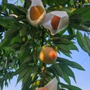 (주)유니팜 | 2026년 일상