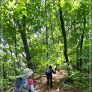 내곡동299 이미지