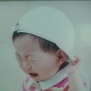 지성팜 이미지