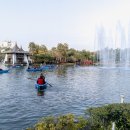 타이완나이차 이미지