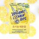 바디랩 이미지