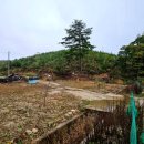 보매기길 이미지