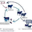 종대농장 이미지