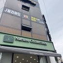 네이처컬렉션전남