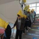 하빈초교병설 이미지