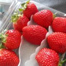 가조시장안 이미지