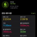 참새농장 | 가을 등산- 간월재) 영남알프스 간월재 등산 | 사슴농장 코스 최단거리로 즐긴 가을 억새 명소 🍂