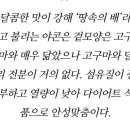 토니아푸드