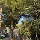 화성시청 테니스장 이미지